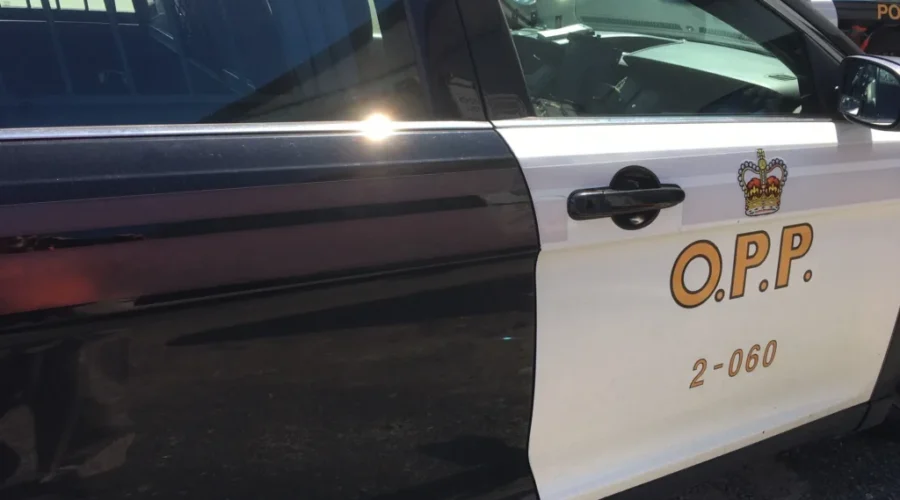 29 charges after multi-day manhunt in Dryden