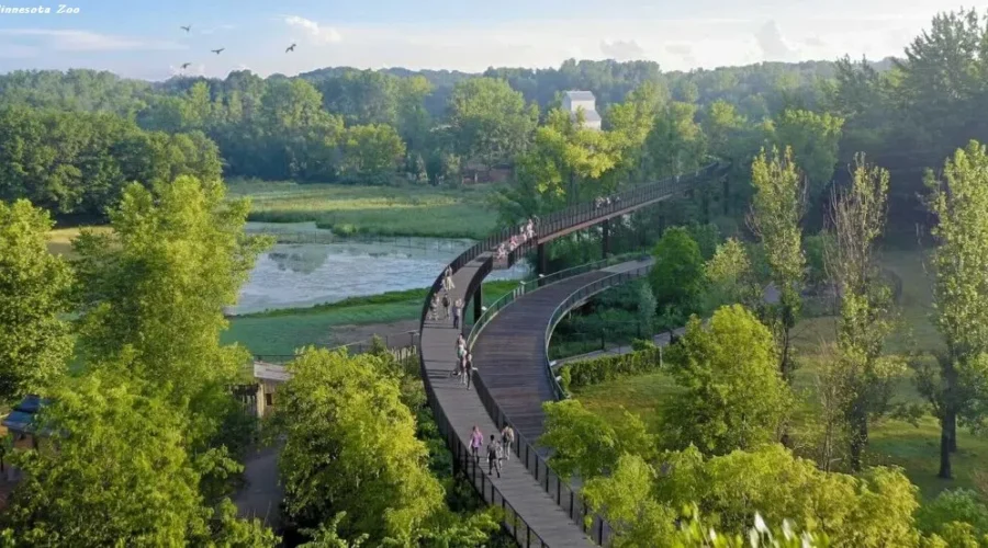 A Treetop Walkway High Above Zoo Animals in Minnesota is Winning Awards And Getting Rave Reviews