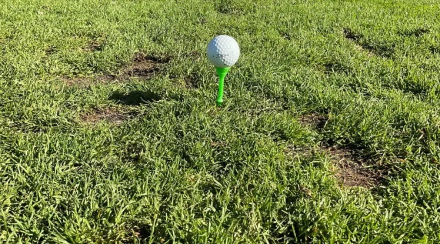 Beauty Bay Golf Course, Senior Men’s League, July 22, 2025