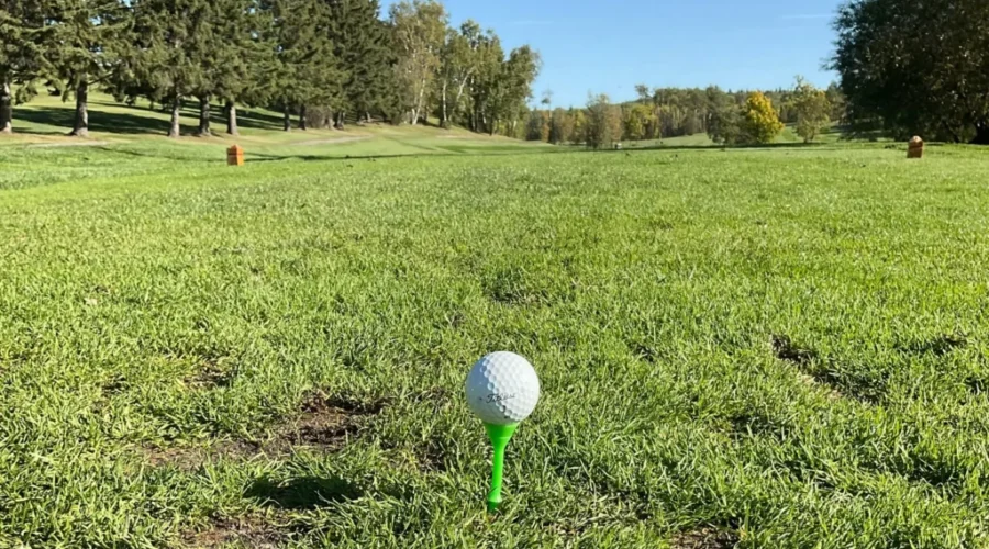 Beauty Bay Golf Course, Senior Men’s League, May 20