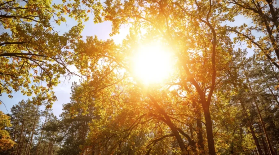 What’s your plan for the first official day of summer?