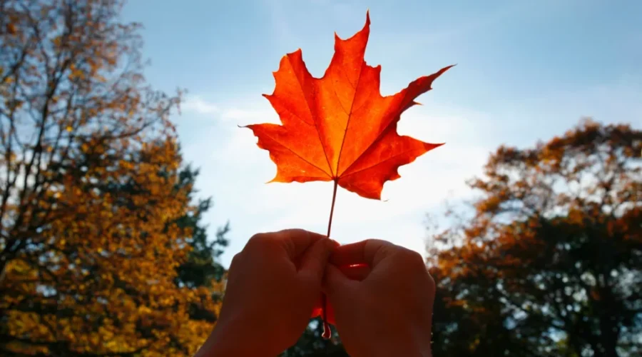Canada Day: What’s open and closed