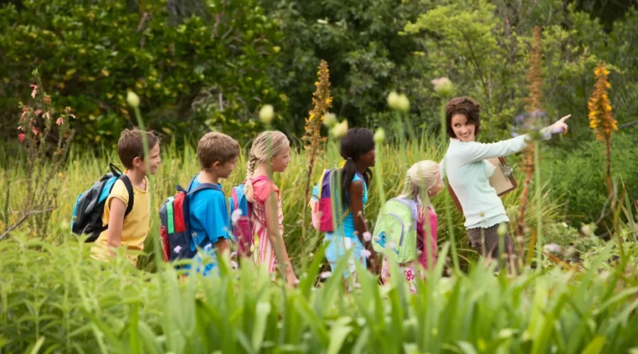 What was your favourite field trip as a kid?