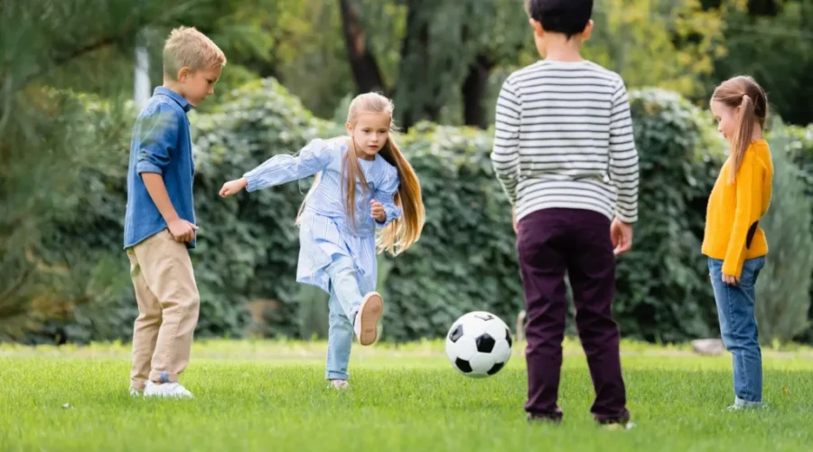 Norman Park: Installations and upgrades underway