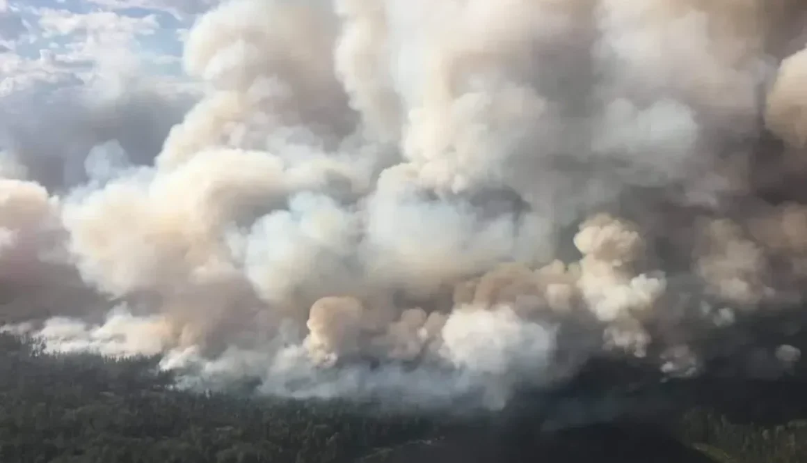 WILDFIRE SMOKE