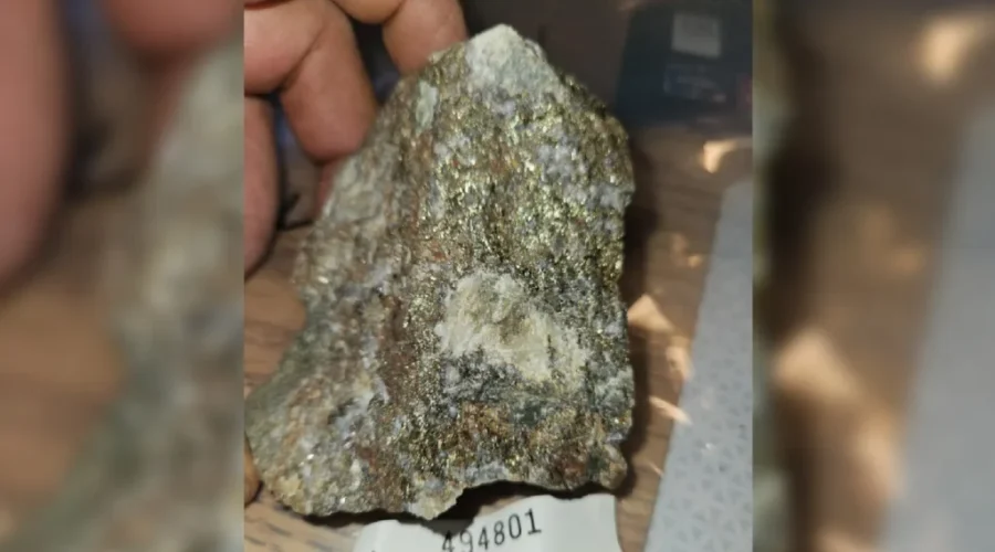 More high-grade gold found near Nestor Falls