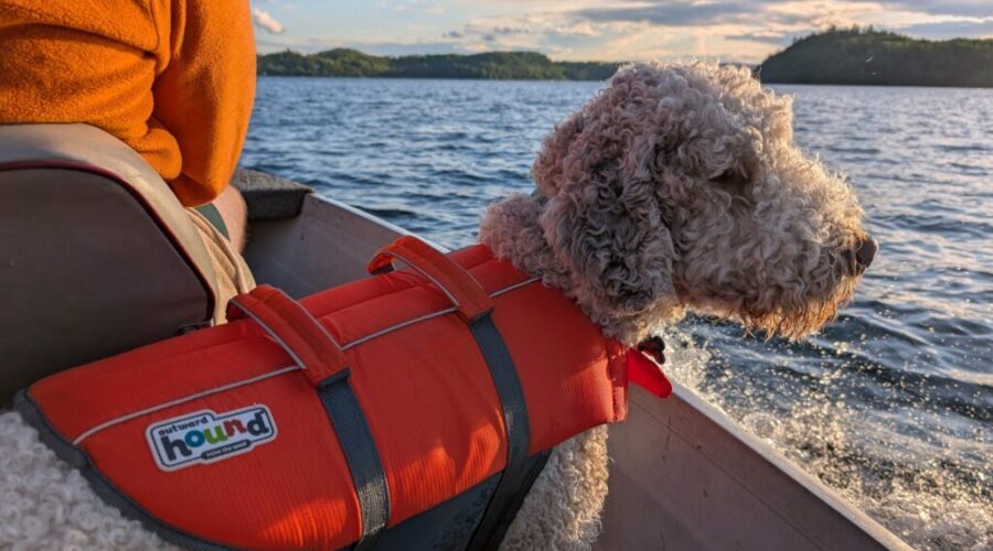 “Mack’s official (totally voluntary) guide to swimming safety” by Mack (who was definitely not told to write this by Mom)