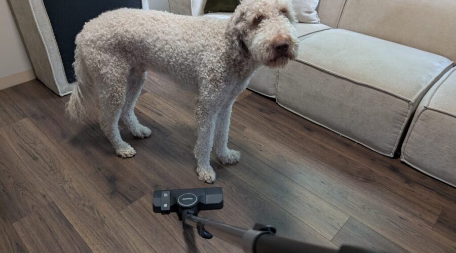 Cleaning day (a tragedy)