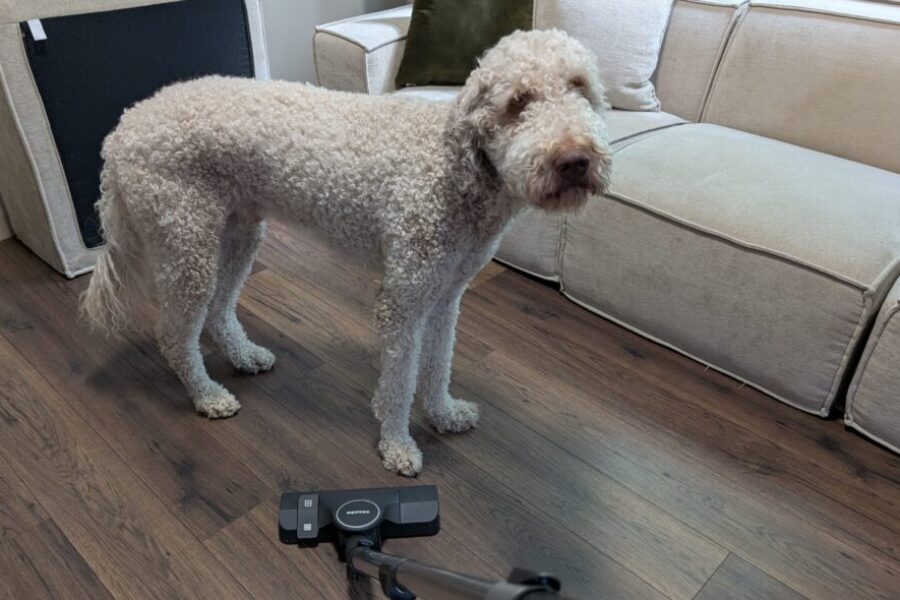 Cleaning day (a tragedy)