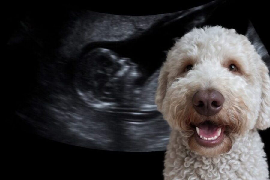 Turns out we’re expecting