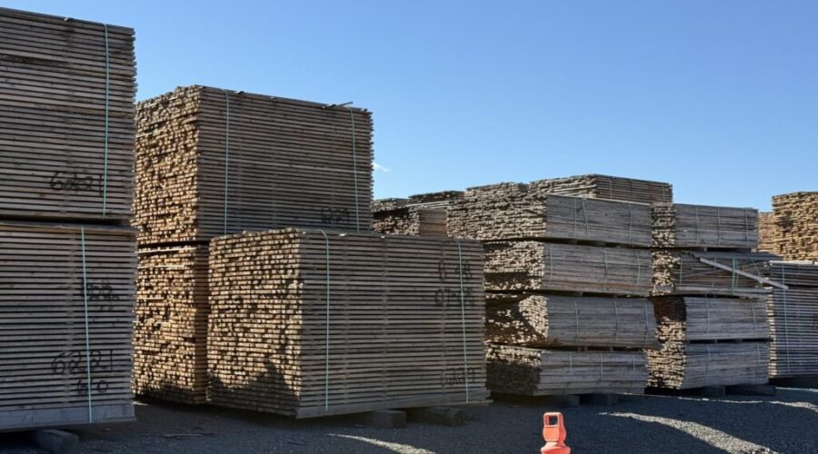 Ontario investing $30 million in forestry industry