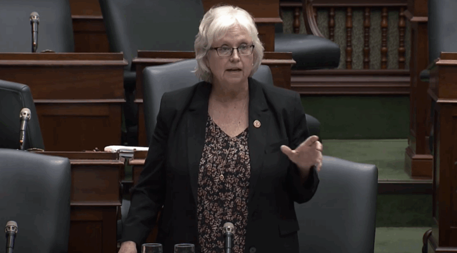 NDP critic for post-secondary education urging Ford government to act as college support staff strike