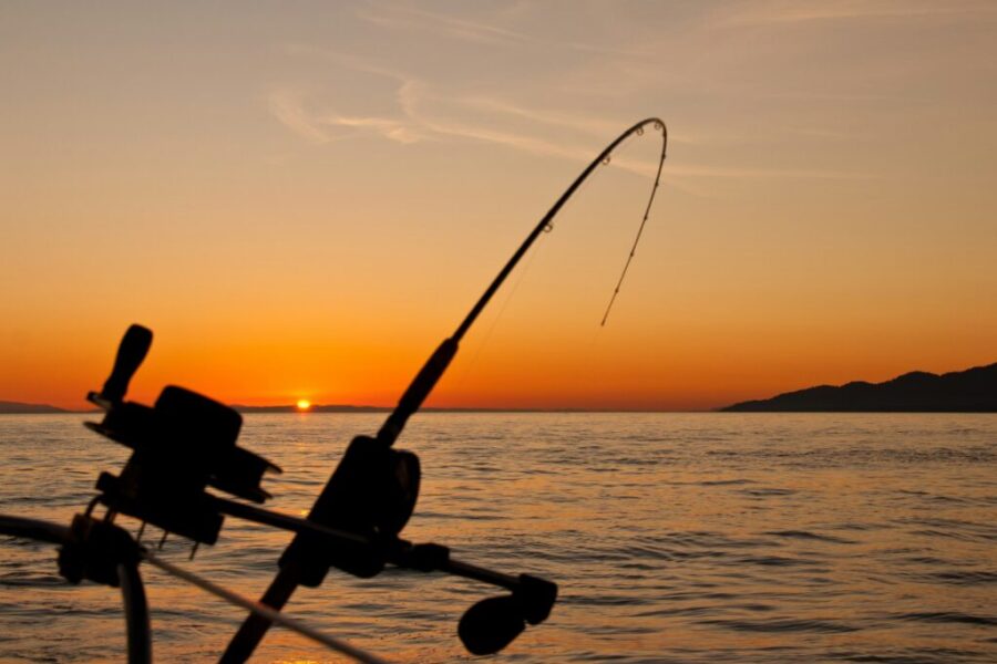 Peace, Produce & Pesky Fish: September 18–24, 2025