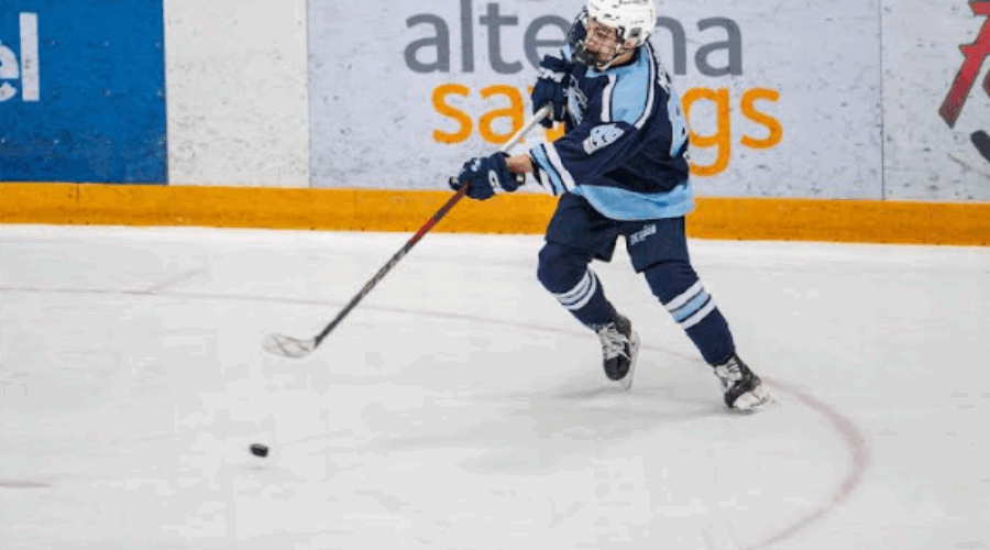 McGraw enjoying Ice Dogs Anniversary season