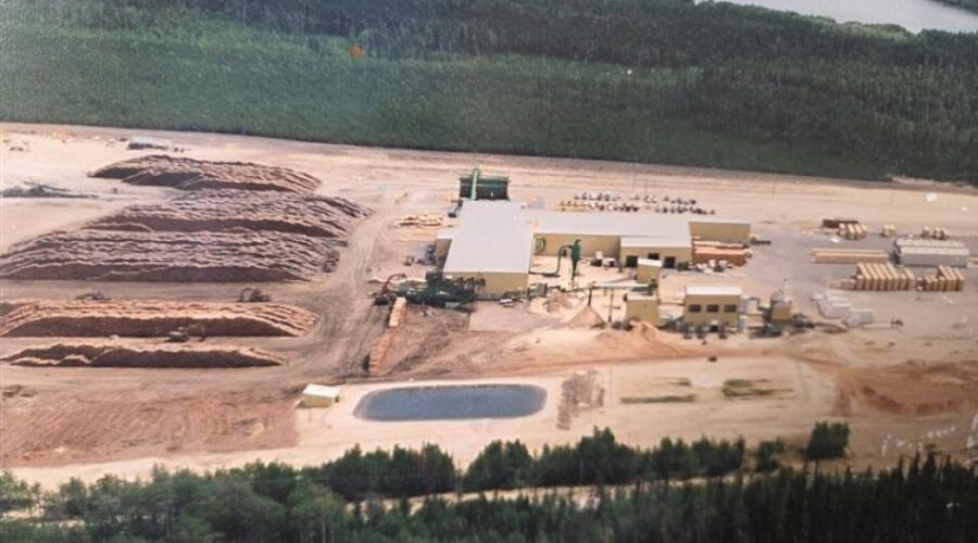 Provincial NDP, Unifor, Municipality of Ear Falls hosting rally amid Ear Falls Sawmill shutdown