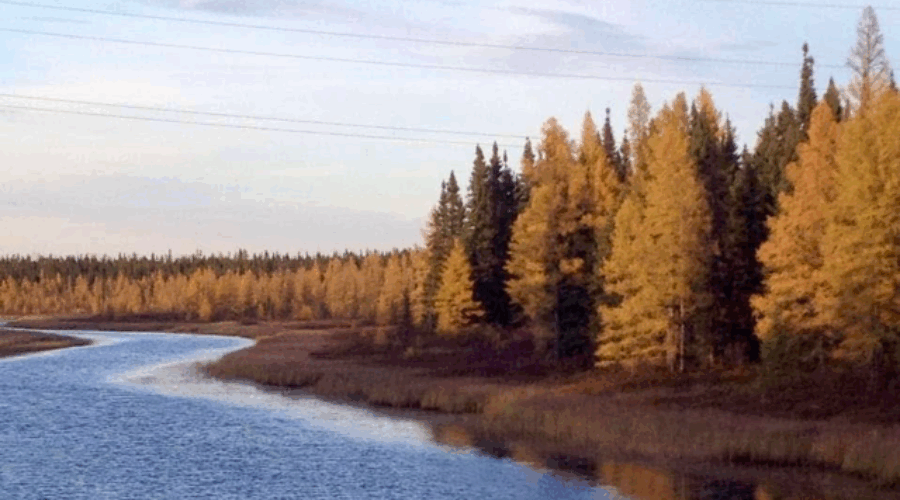 The Joy & Splendour of Fall