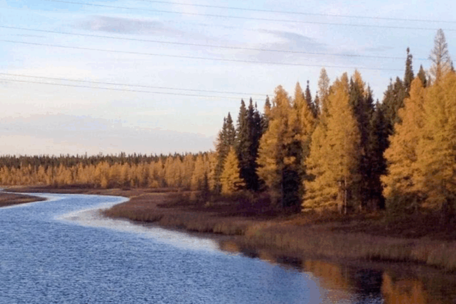 The Joy & Splendour of Fall