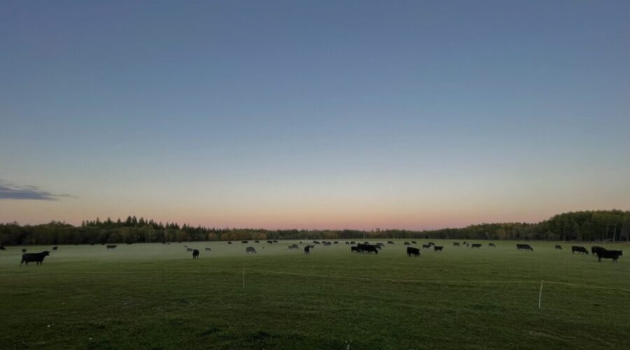 Show us your NWO📷