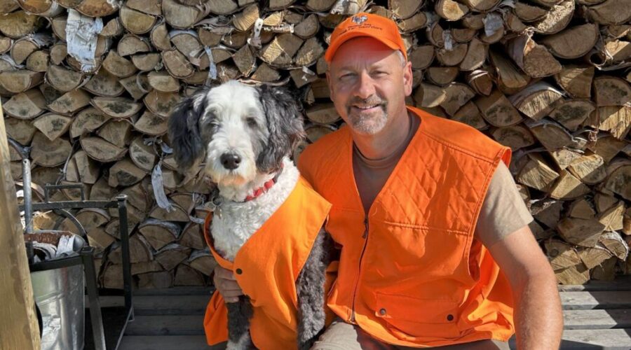 The Boss takes over: Harvey’s Thanksgiving safety guide