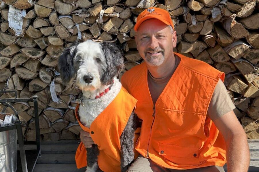 The Boss takes over: Harvey’s Thanksgiving safety guide