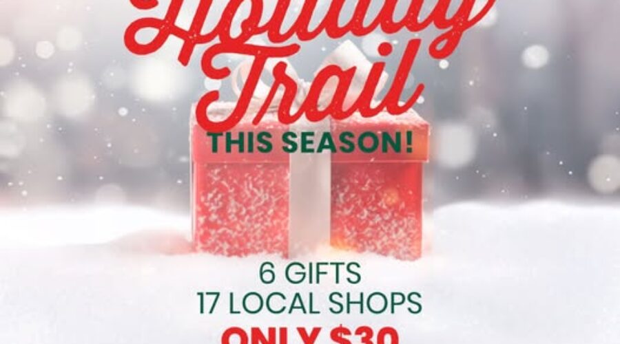 Kenora wins marketing award for campaign to shop local during the holidays