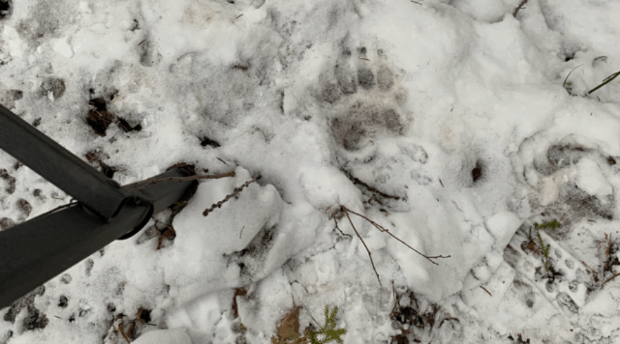 Some Apparent Seasonal Shifts