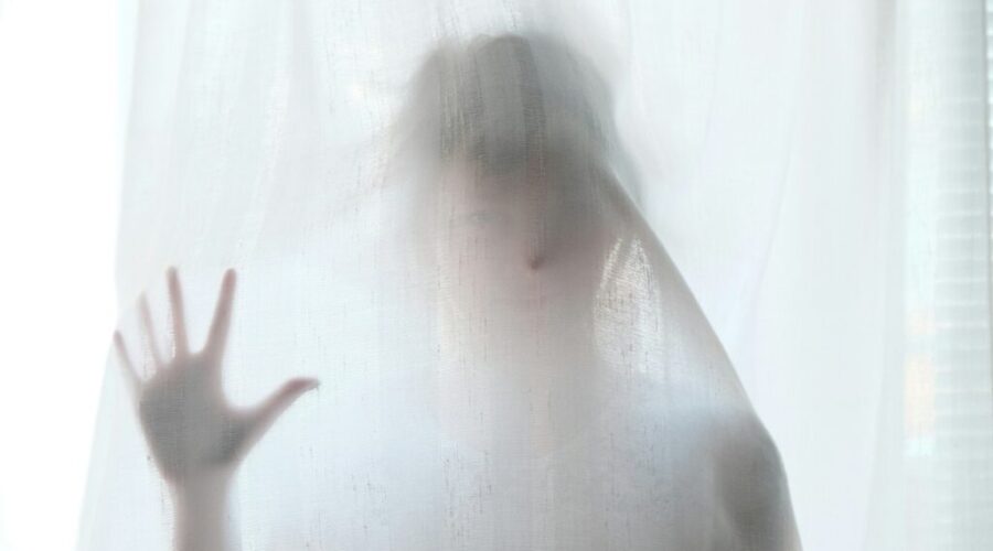 Feasts, Fish & Frights!