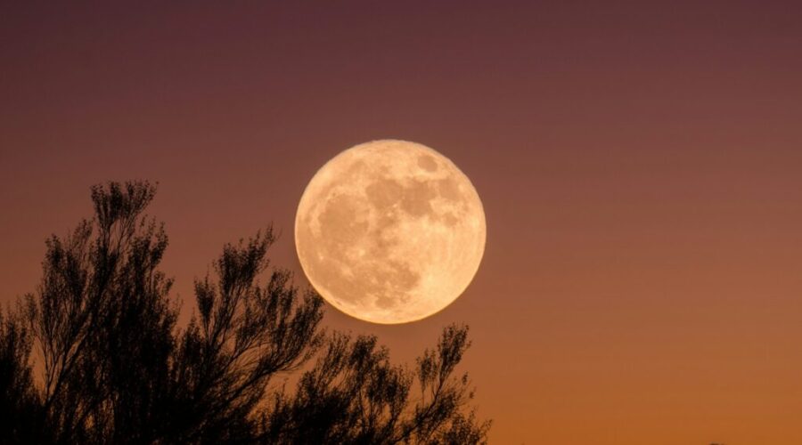 Lake Morning Show: “Beaver Moon” hits its peak early tomorrow morning