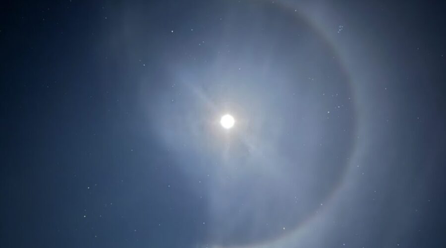 Show us your NWO 📸
