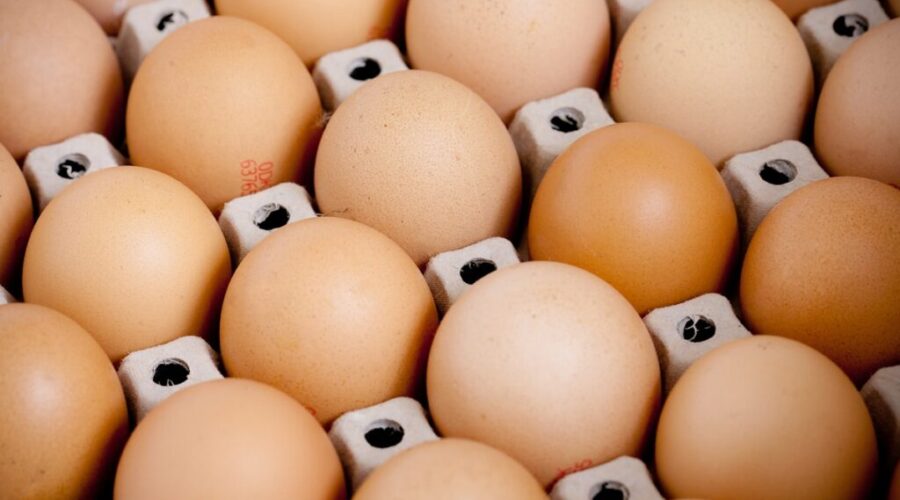 Annual food report projects grocery prices will continue to rise