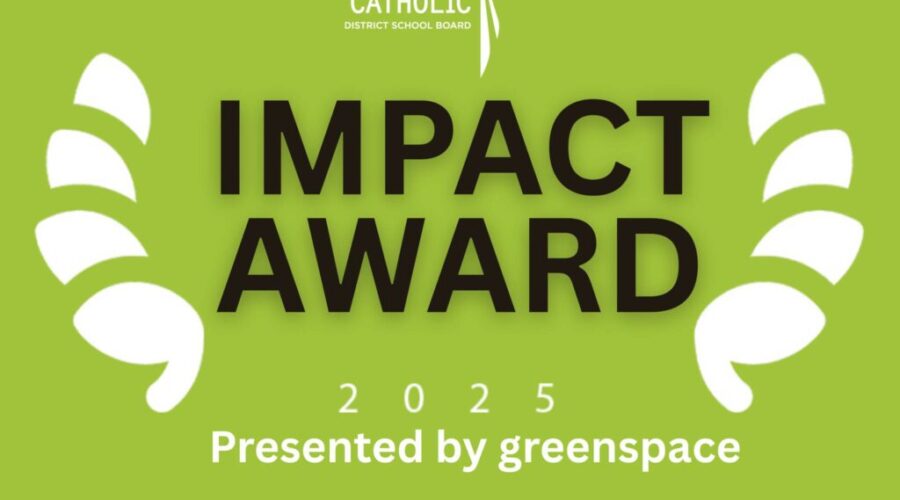 Kenora Catholic School Board wins award for mental health innovation
