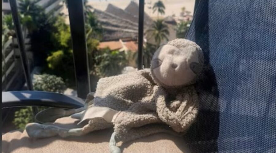 Tell Me Something Good: Child from the region reunited with favourite stuffy
