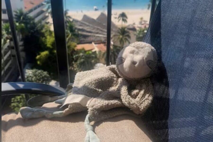 Tell Me Something Good: Child from the region reunited with favourite stuffy