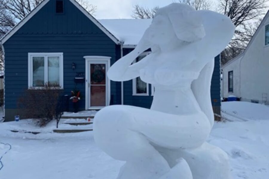 Tell Me Something Good: The Snow Mermaid of Winnipeg