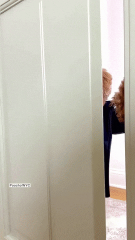 February 11 birthdays gif 