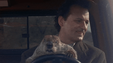 Happy Groundhog Day!