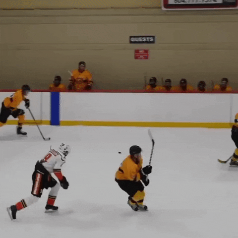 Strings, Sips, and Skates