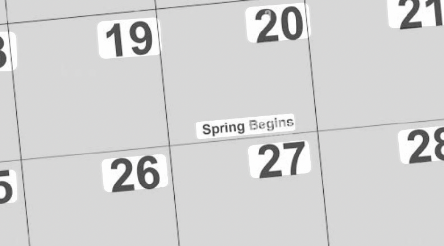 Has Spring Sprung?!