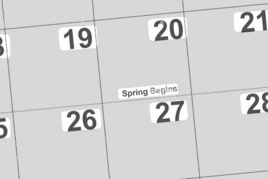 Has Spring Sprung?!