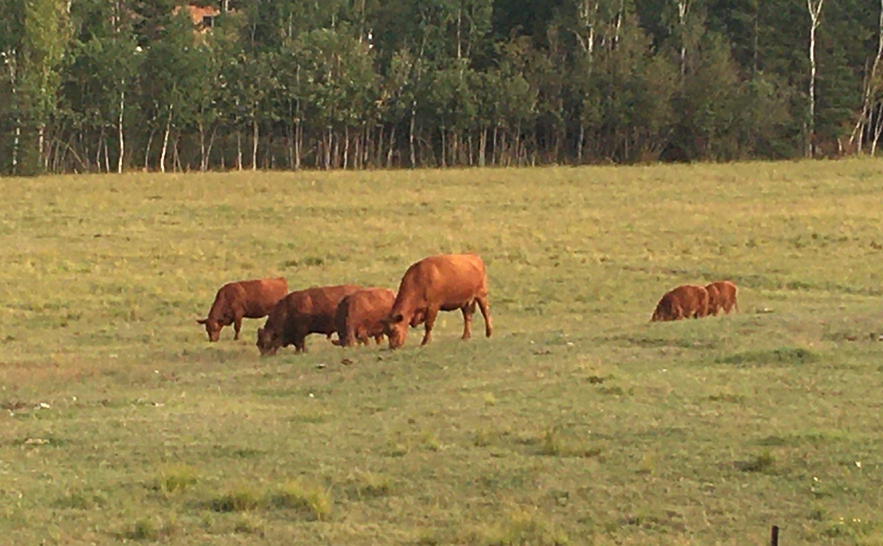 Province moving to guard farmland