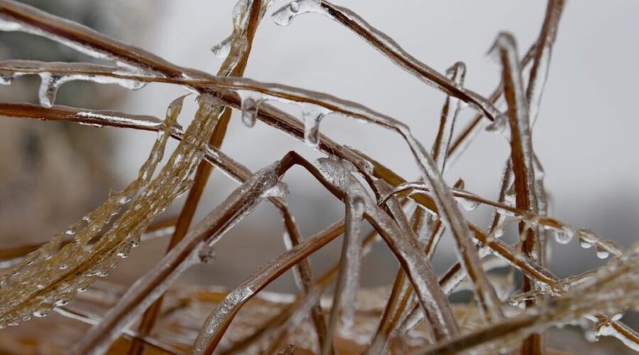 Freezing rain forecast for Kenora and Dryden