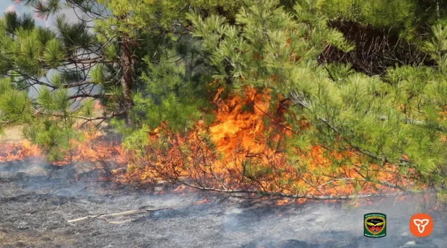 First forest fire of the season in the Rainy River District