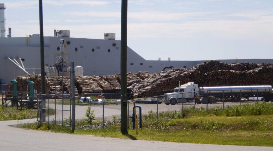 Mill workers vote overwhelmingly to unionize