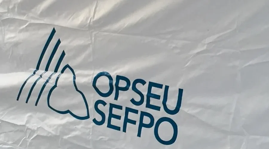 Hundreds of Thunder Bay long-term care workers strike for better wages