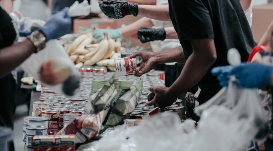 Federal government unveils $20M local food support fund