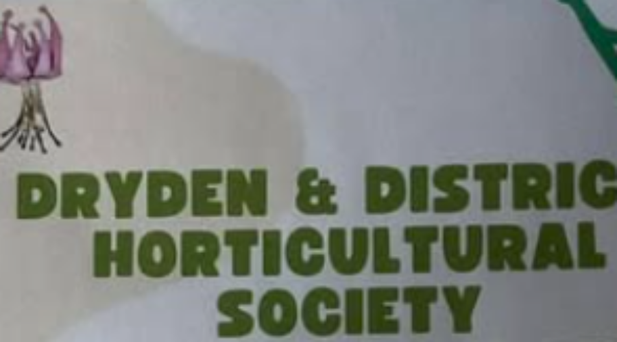 Dryden Horticultural Society suggests changes to city bylaws