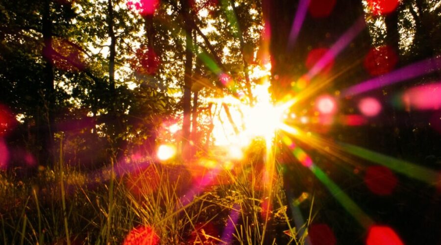 June 21 is the first day of summer!