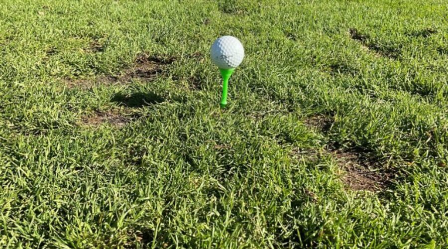 Beauty Bay Golf Course Senior Men’s League, August 18