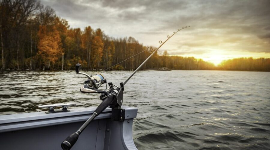 Bait, Baking & Bands