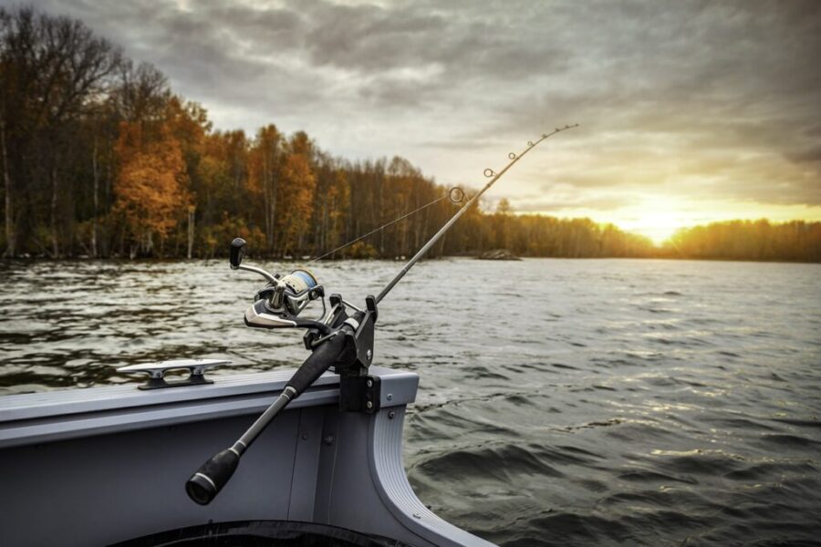 Bait, Baking & Bands